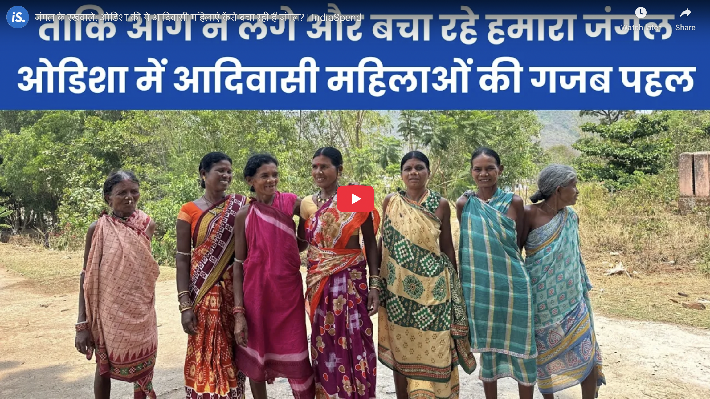 Article | जंगल के रखवाले: ओडिशा की ये आदिवासी महिलाएं कैसे बचा रही हैं जंगल?